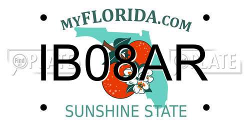 IB08AR Florida License Plate
