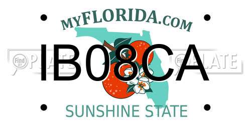 IB08CA Florida License Plate