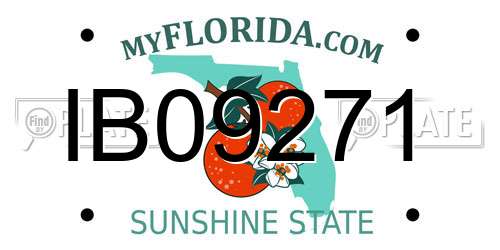 IB09271 Florida License Plate