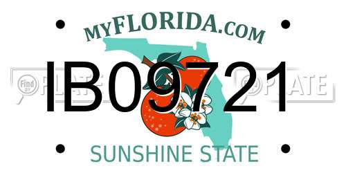 IB09721 Florida License Plate