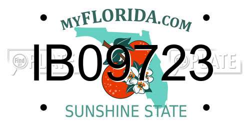 IB09723 Florida License Plate