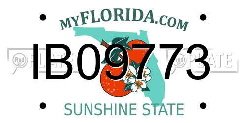 IB09773 Florida License Plate