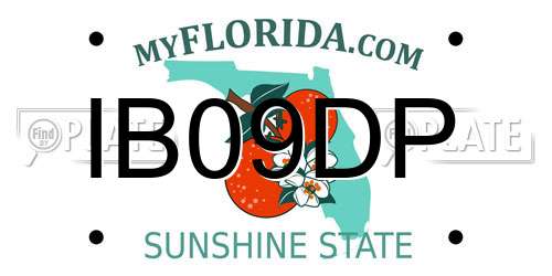 IB09DP Florida License Plate