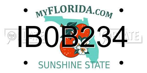 IB0B234 Florida License Plate