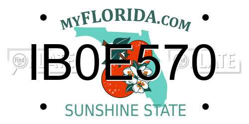 IB0E570 Florida License Plate