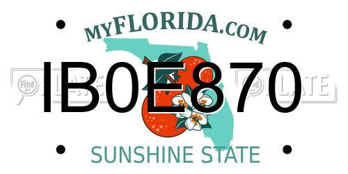 IB0E870 Florida License Plate