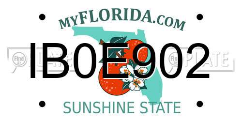 IB0E902 Florida License Plate