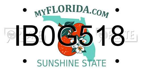 IB0G518 Florida License Plate