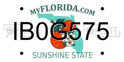 IB0G575 Florida License Plate