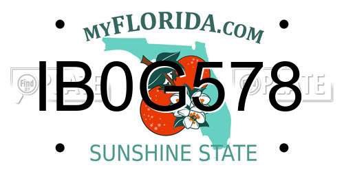 IB0G578 Florida License Plate