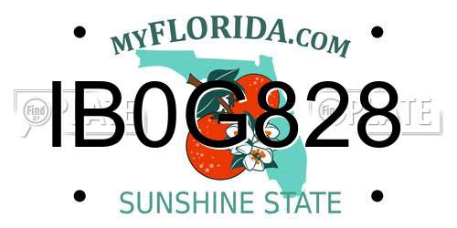 IB0G828 Florida License Plate