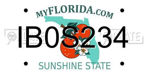 IB0S234 Florida License Plate