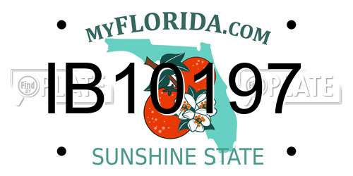 IB10197 Florida License Plate