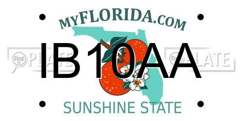 IB10AA Florida License Plate