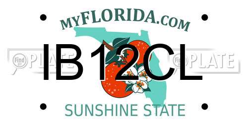IB12CL Florida License Plate