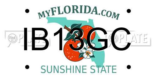 IB13GC Florida License Plate