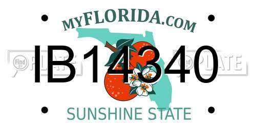 IB14340 Florida License Plate