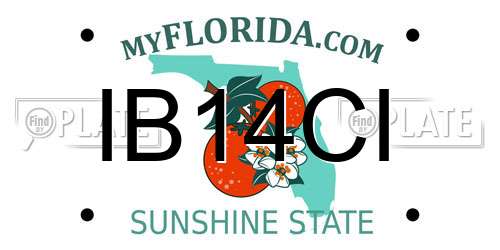 IB14CI Florida License Plate