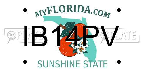 IB14PV Florida License Plate