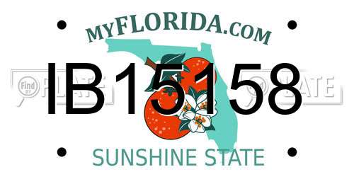 IB15158 Florida License Plate