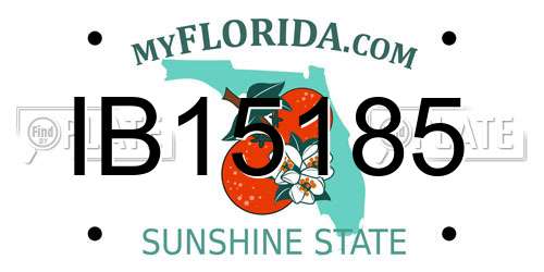 IB15185 Florida License Plate
