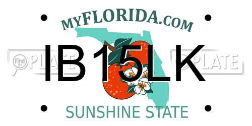 IB15LK Florida License Plate