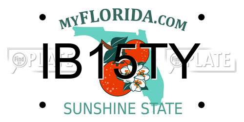 IB15TY Florida License Plate