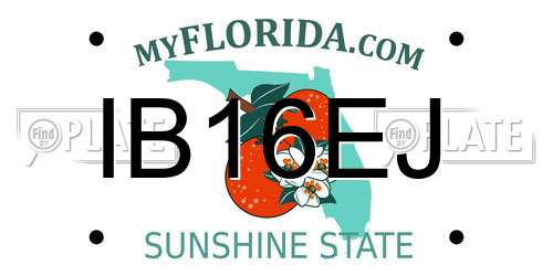 IB16EJ Florida License Plate