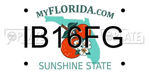 IB16FG Florida License Plate
