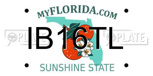 IB16TL Florida License Plate