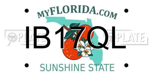 IB17QL Florida License Plate