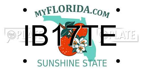 IB17TE Florida License Plate