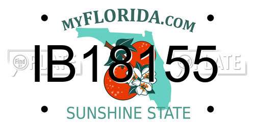 IB18155 Florida License Plate