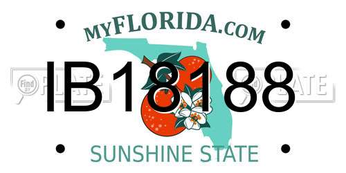 IB18188 Florida License Plate