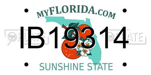 IB19314 Florida License Plate