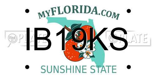 IB19KS Florida License Plate