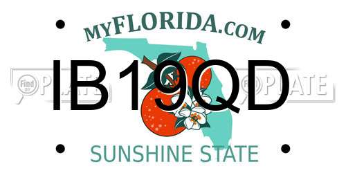 IB19QD Florida License Plate