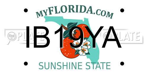 IB19YA Florida License Plate