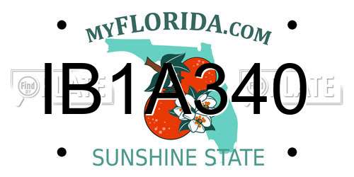 IB1A340 Florida License Plate