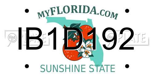 IB1D192 Florida License Plate