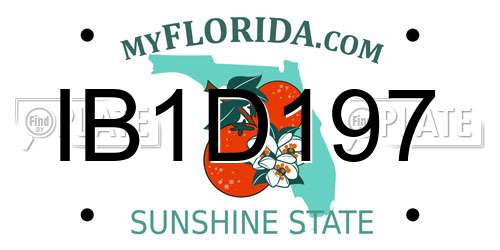 IB1D197 Florida License Plate