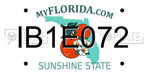 IB1E072 Florida License Plate