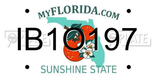 IB1O197 Florida License Plate