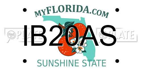 IB20AS Florida License Plate