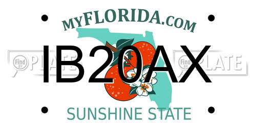 IB20AX Florida License Plate