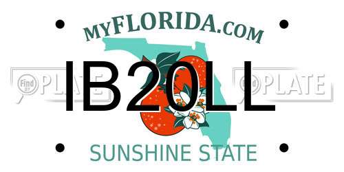 IB20LL Florida License Plate