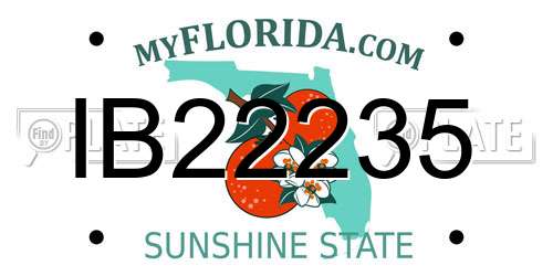 IB22235 Florida License Plate