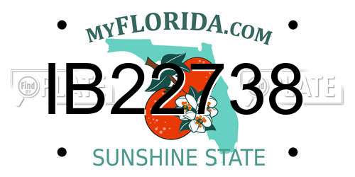 IB22738 Florida License Plate