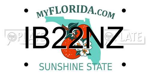 IB22NZ Florida License Plate