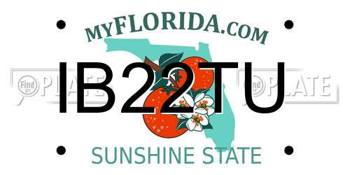 IB22TU Florida License Plate